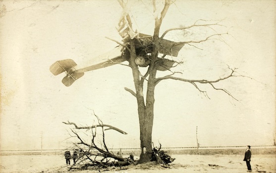 Old black and white photo from the early twentieth century of a small bi-plane stuck in branches of a large tree.